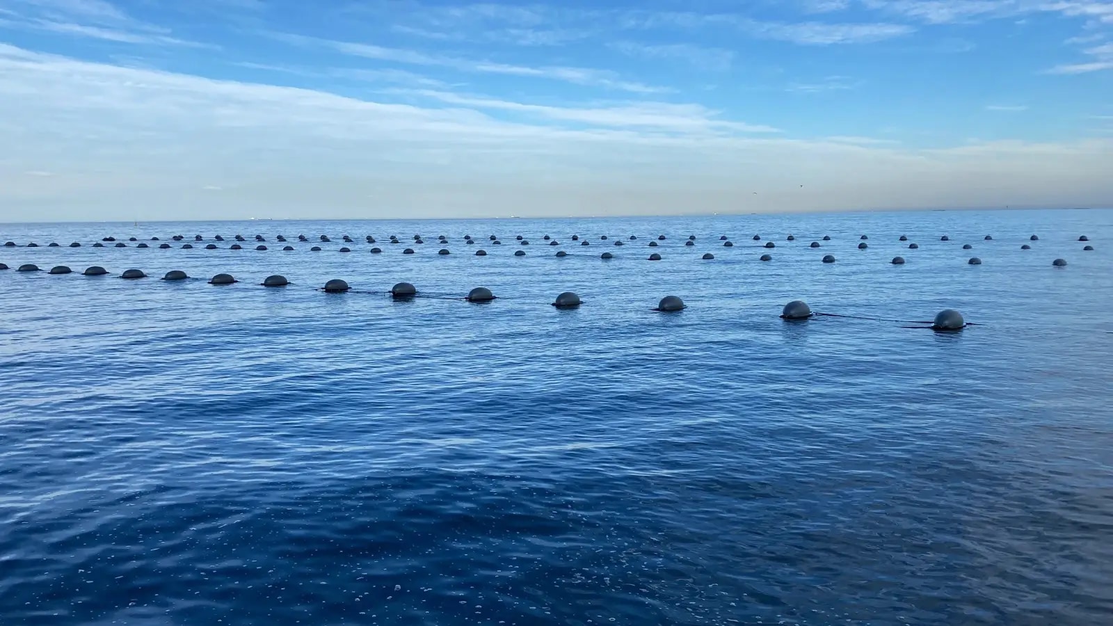 Longline mussel farm buoy lines at sea