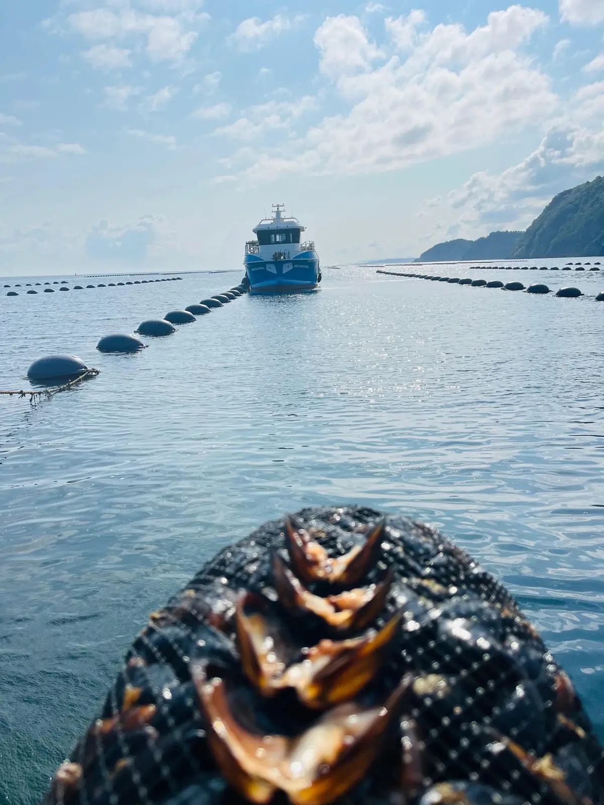 Harvest vessel on the farm with fresh mussels
